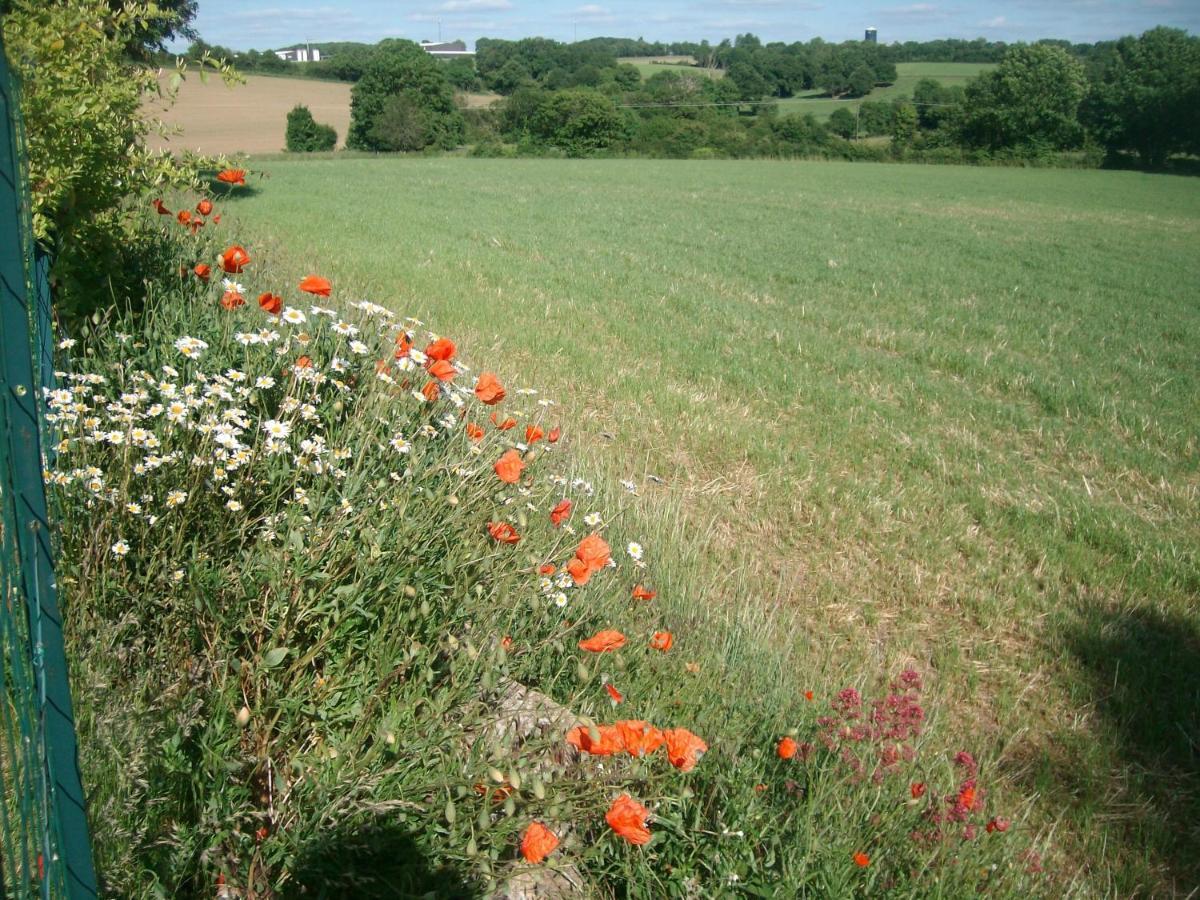 M. Clemenceau - Les Maisonnettes De La Maneliére La Flocellière Esterno foto